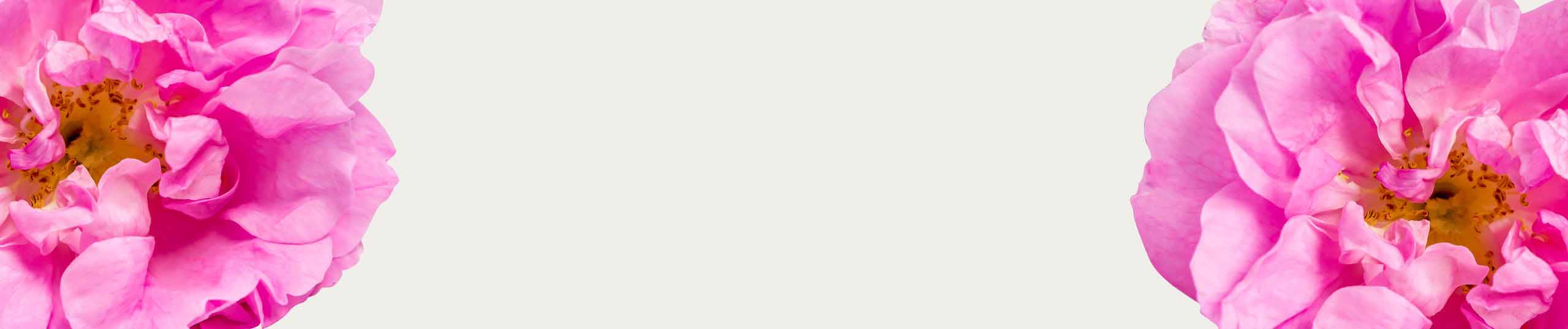 банер за нас