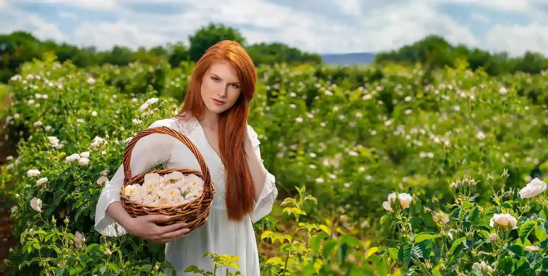 жена държи кошница с рози