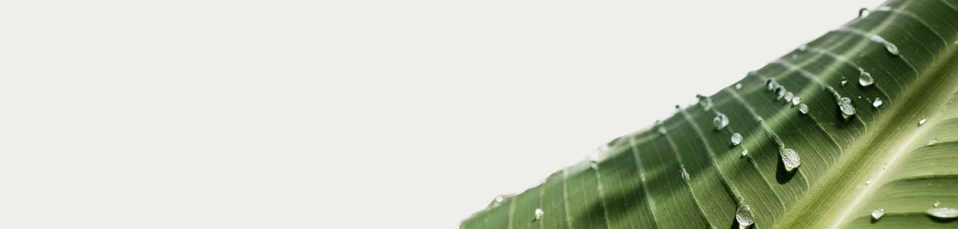 органична лаборатория