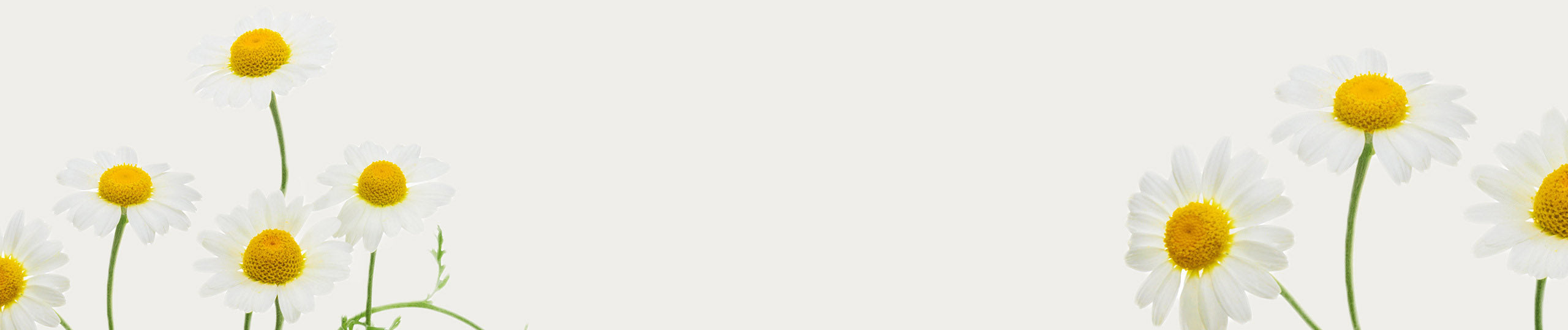 био вода от лайка Алтея Органикс