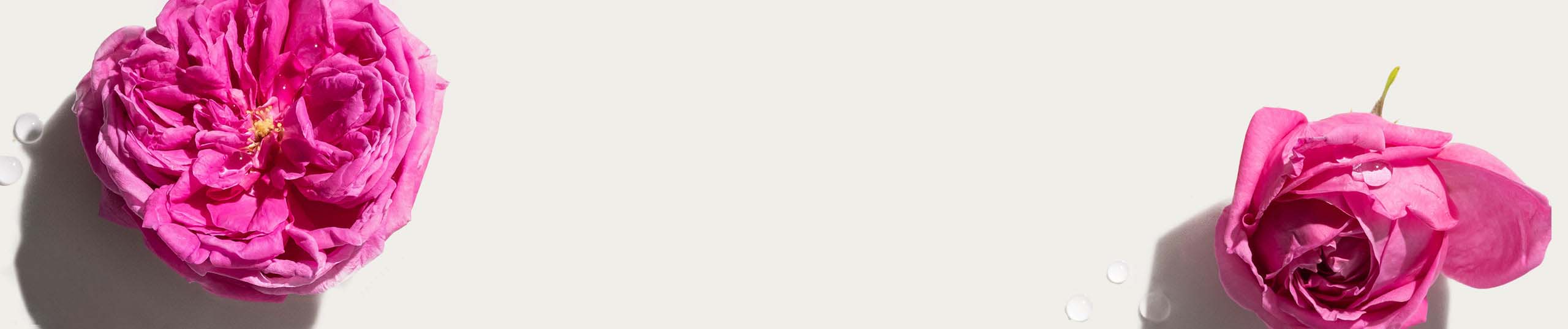 Био розова вода сентифолия Алтея Органикс