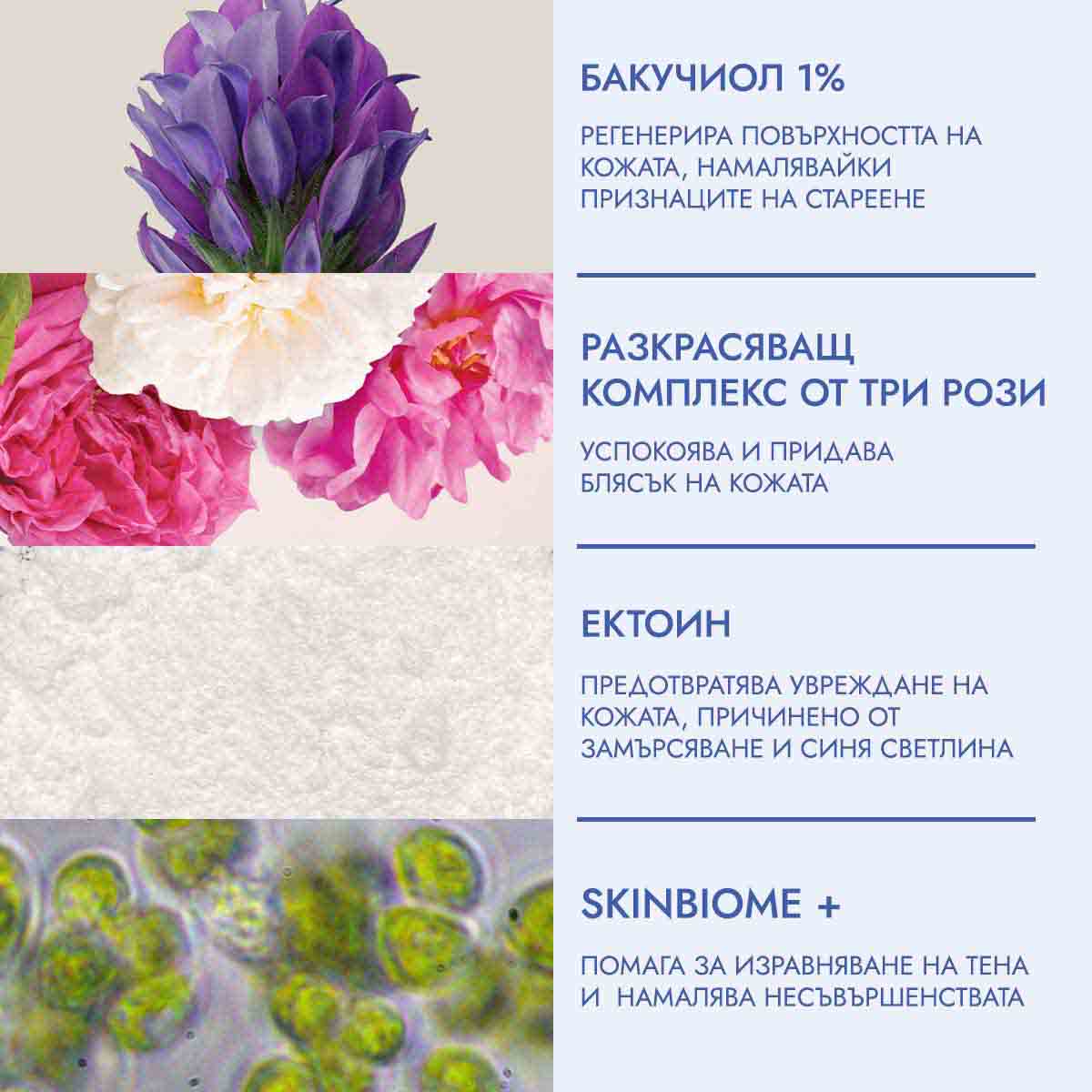 rose hydrobiome с масло от бакучиол