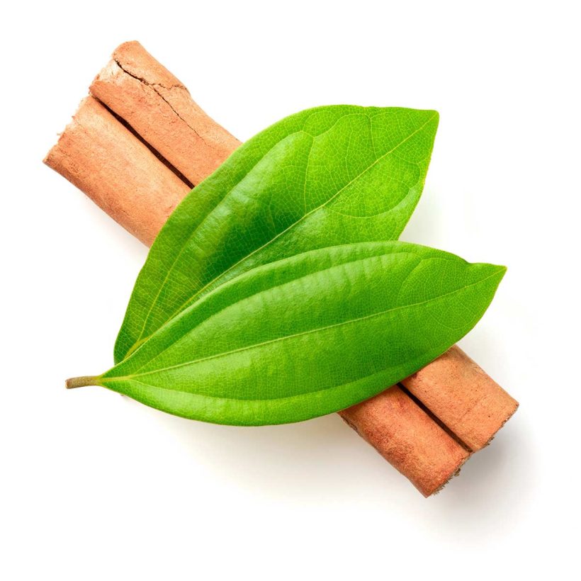 Organic-Cinnamon-Leaf-Oil