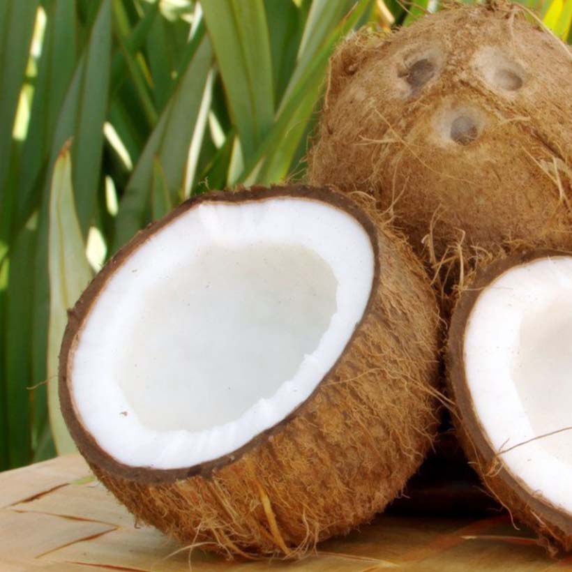 Био растително Кокосово Масло