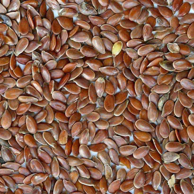 био растително масло от лен